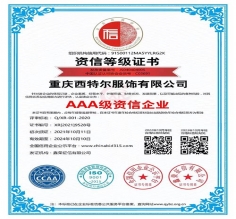 资质等级证书